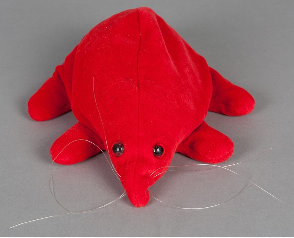 The Puggle is covered in soft, red cloth. Two plastic buttons represent the eyes, and plastic whiskers are sewn into the snout. The Puggle is filled with small synthetic beans to give it shape. The sleeping bag is made from soft, blue fabric. It has a hole cut into one side, reinforced with a metal ring. When placed in the sleeping bag, the Puggle's snout can be pulled through the hole. A red cloth tie is present - it has been removed from the top hemming of the sleeping bag.
